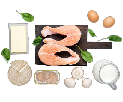 Protein